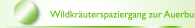 Wildkr&auml;uterspaziergang zur Auerburg